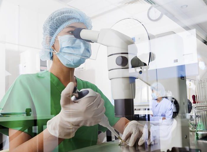 sistema inmune y degeneración macular.
