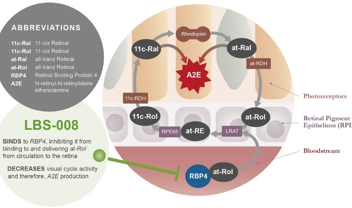 EMA aprueba LBS-008 para Stargardt como medicamento huérfano