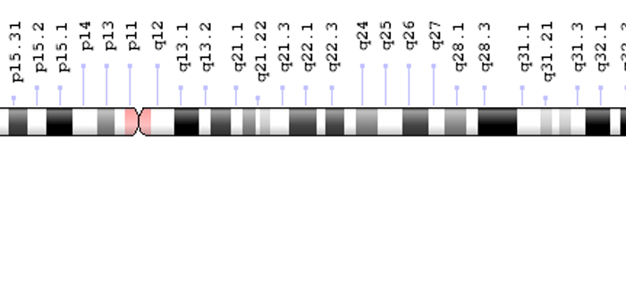 Gen PDE6β