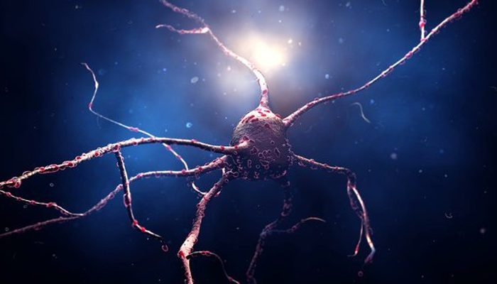 Implantes de retina con células madre para DMAE seca