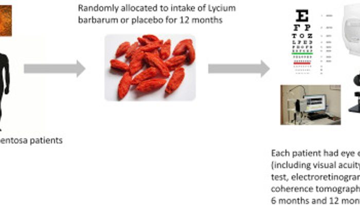 Suplemento de Goji berry retrasa degeneración conos en Retinosis Pigmentaria