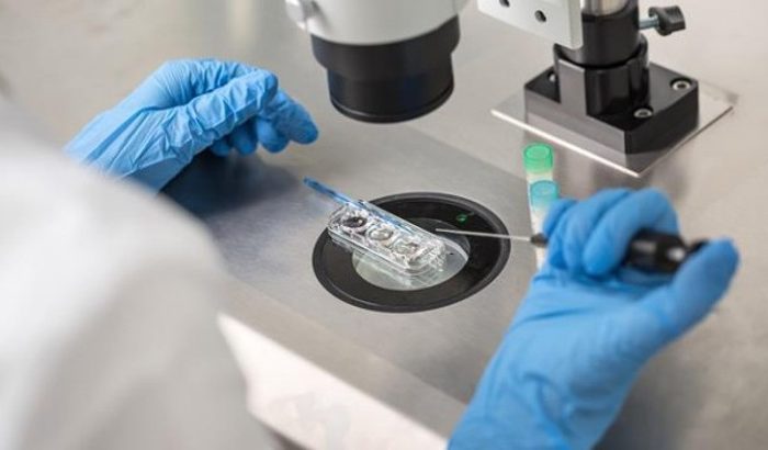 Datos positivos para la terapia celular hRPC de ReNeuron para Retinosis Pigmentaria