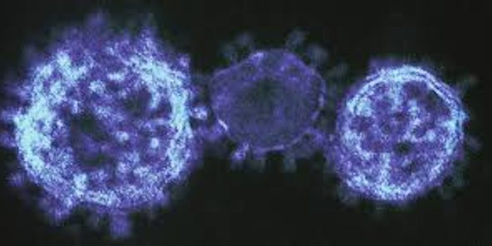 Alerta Importantes actualizaciones sobre coronavirus