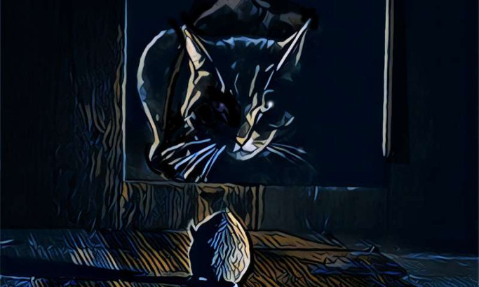 El secreto genético de la visión nocturna