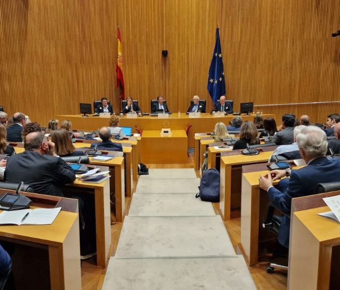 La Prevención de la ceguera y la discapacidad visual en España un compromiso colectivo